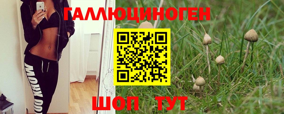 Калач-на-Дону  Псилоцибиновые грибы Psilocybe  Вход с VPN 
