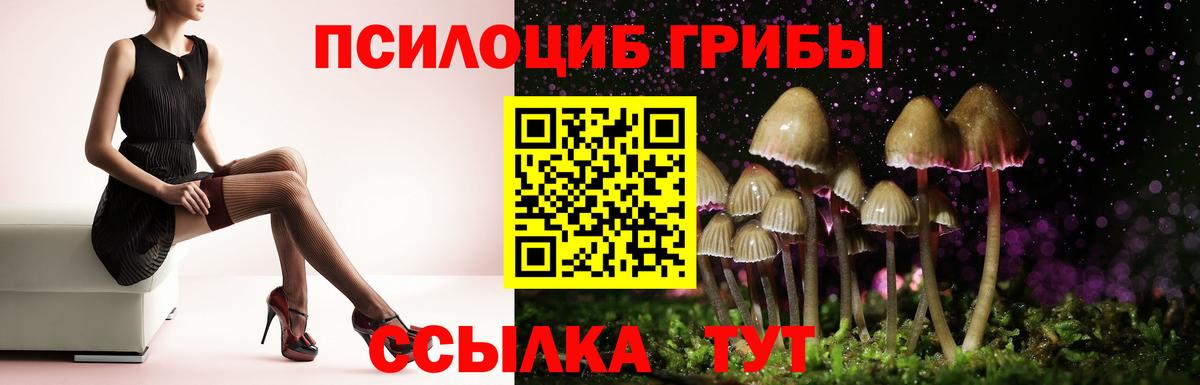 Галлюциногенные грибы Magic Shrooms Калач-на-Дону